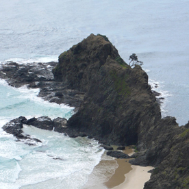 Image of Cape Reinga